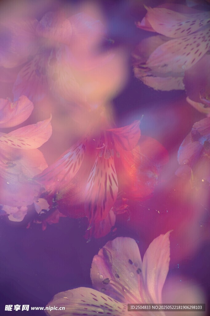 梦幻花卉背景图