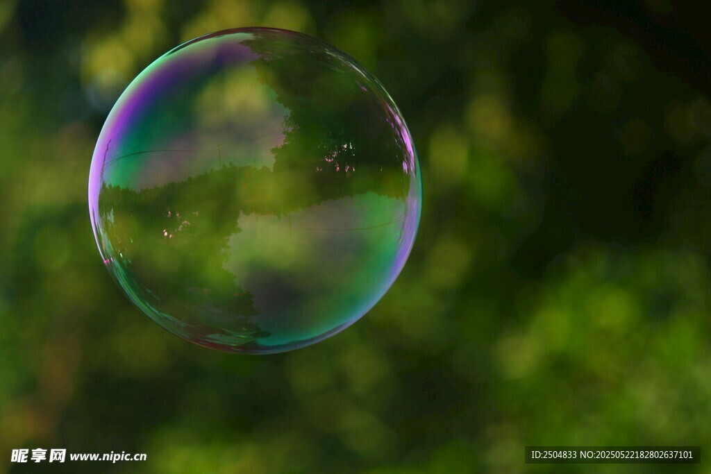 阳光下的梦幻彩色肥皂泡