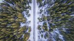 俯瞰冬日森林雪中小径