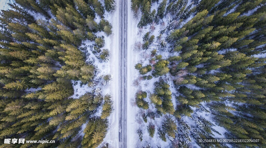俯瞰冬日森林雪中小径