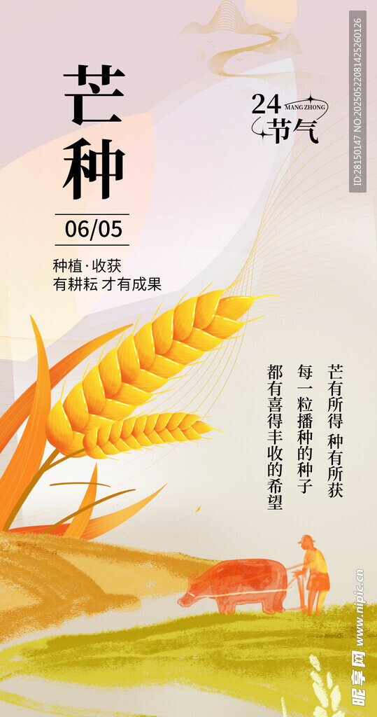 芒种