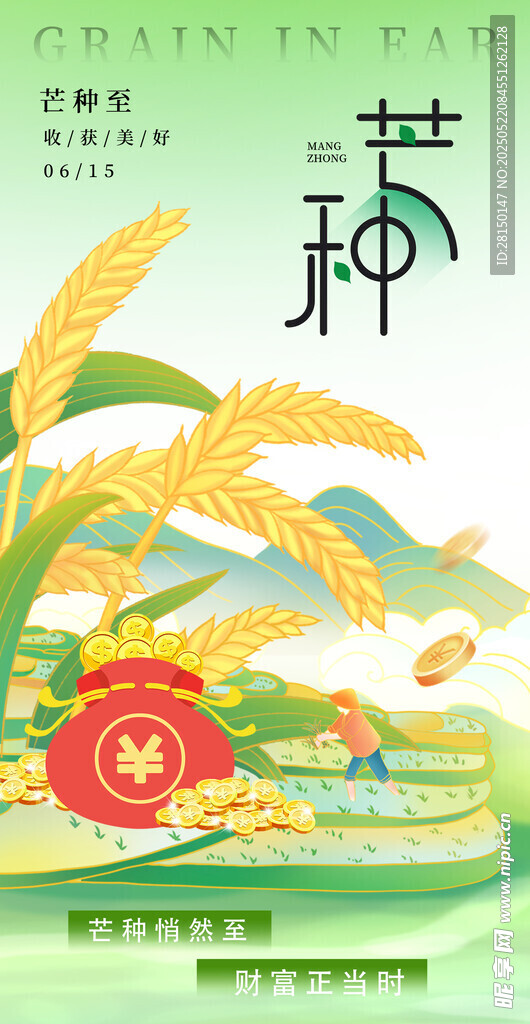 芒种