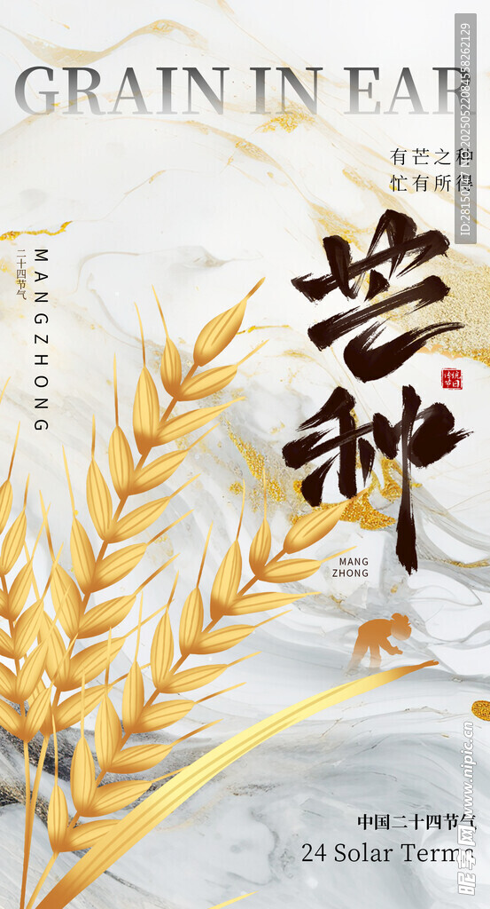 芒种