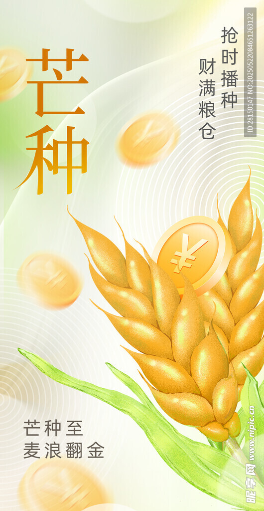 芒种