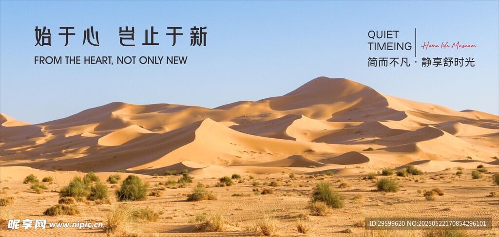 沙漠风光 