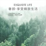 享受精致生活的静谧森林