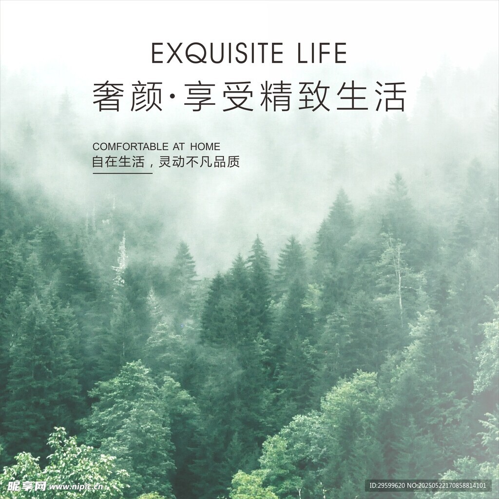 享受精致生活的静谧森林