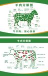羊肉分割图