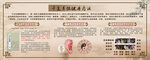 干支耳位疗法