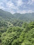 青山绿野间的自然美景