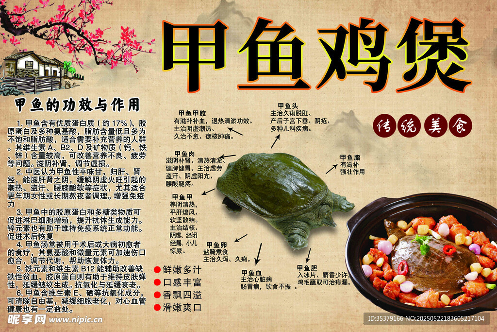 美味甲鱼鸡煲