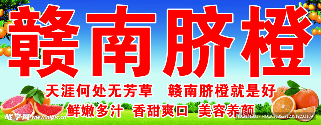 赣南脐橙   新鲜美味营养丰富