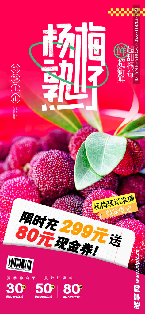 杨梅海报