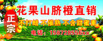 脐橙
