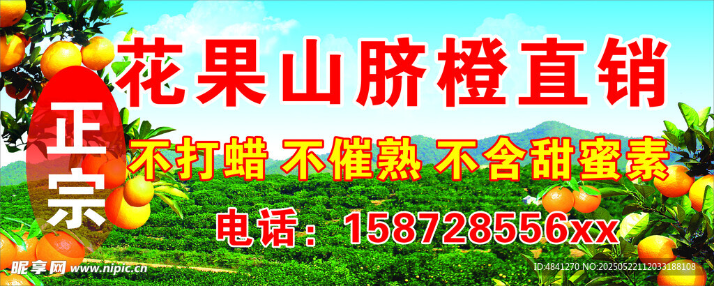 脐橙
