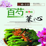 美味百芍菜心海报