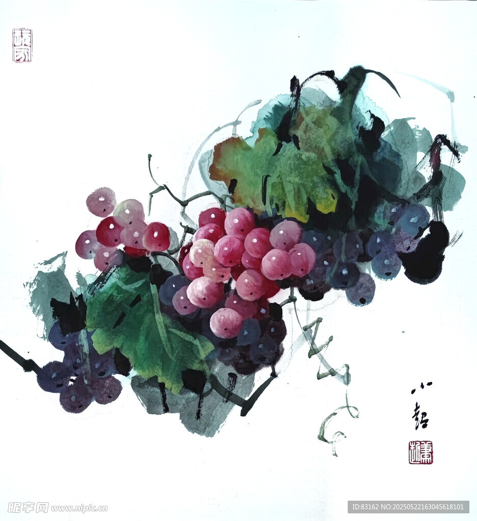葡萄画