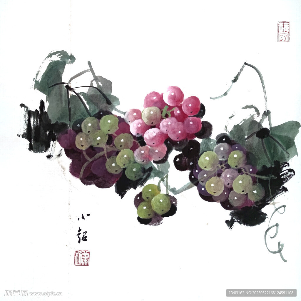 葡萄画作