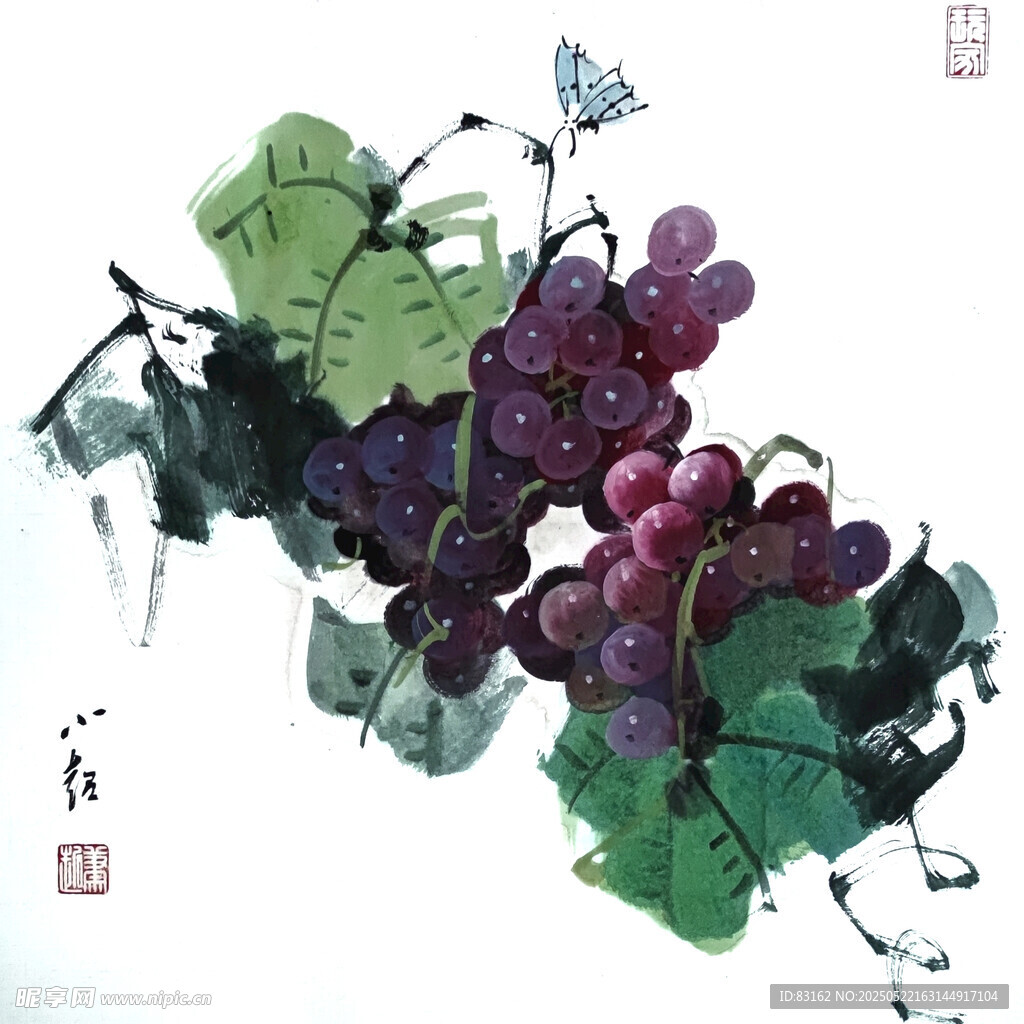 葡萄画