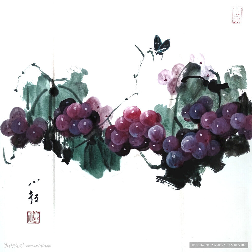 美术葡萄画