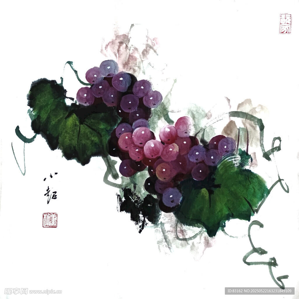 葡萄艺术