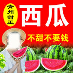 西瓜海报