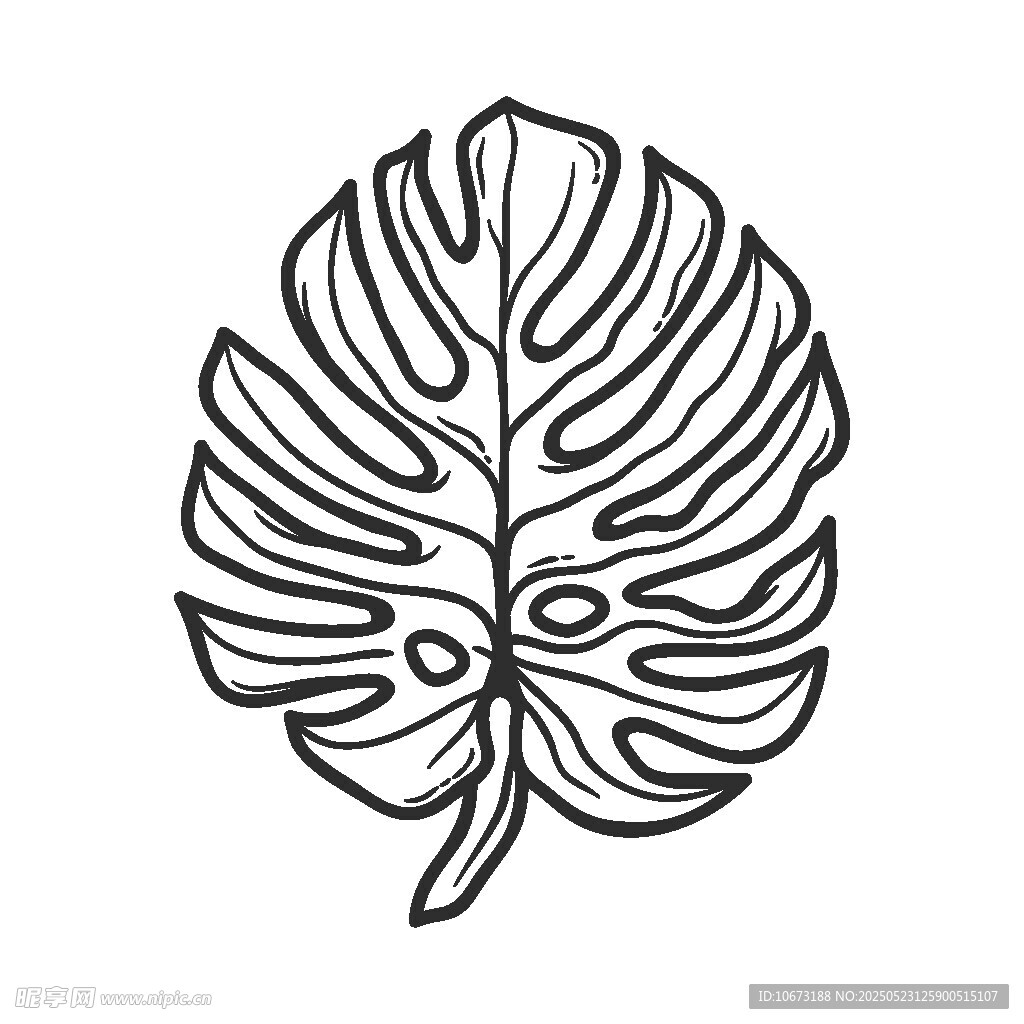 简约龟背竹叶线条图案