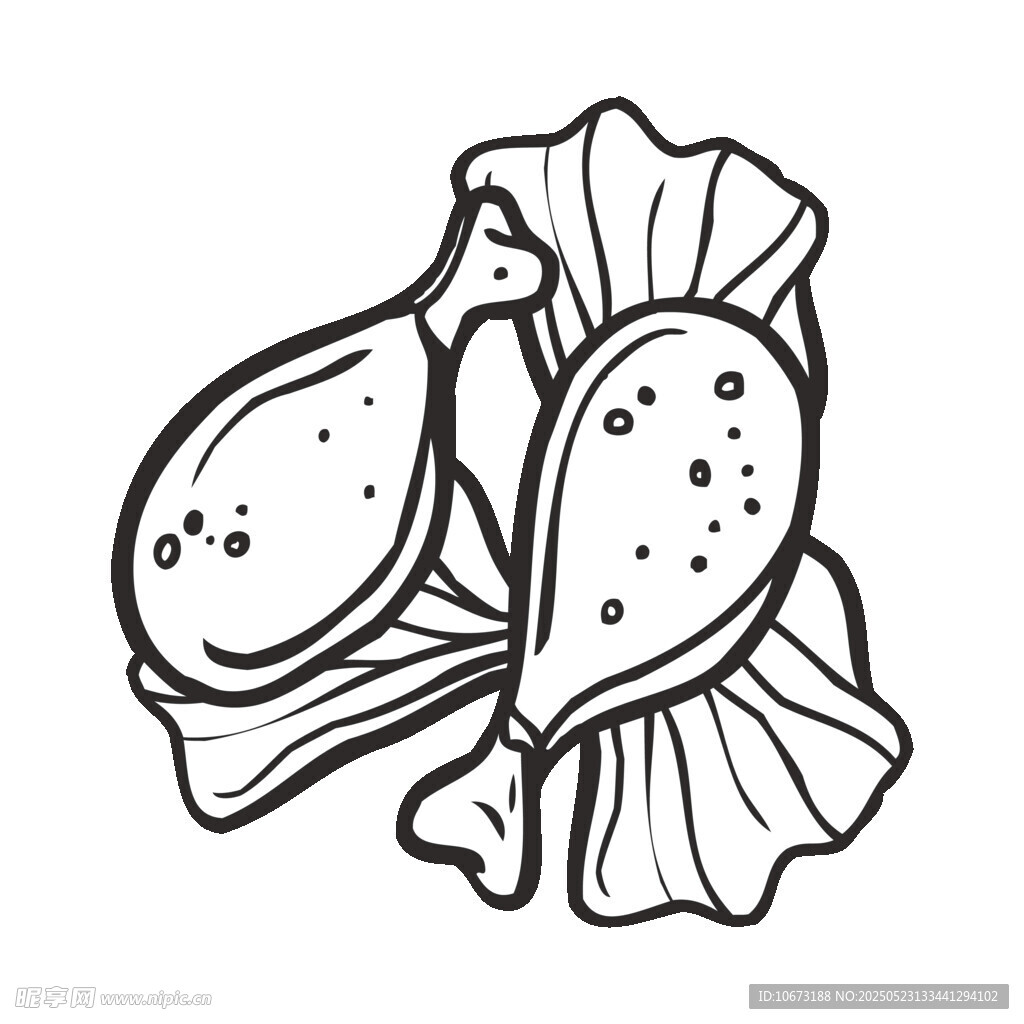 手绘双瓣果实插画