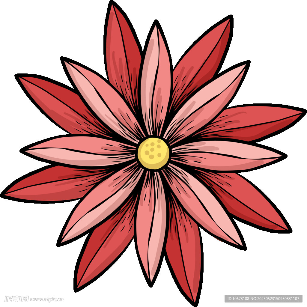 红色花瓣花朵插画图案