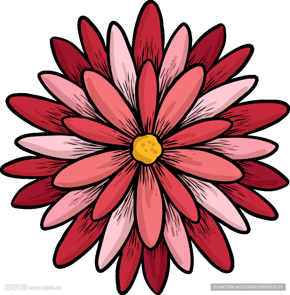 红色花瓣花朵插画图案