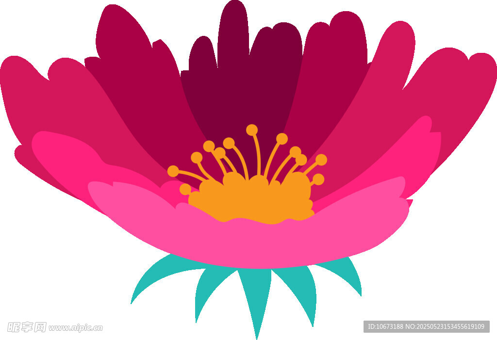 鲜艳粉色花朵插画