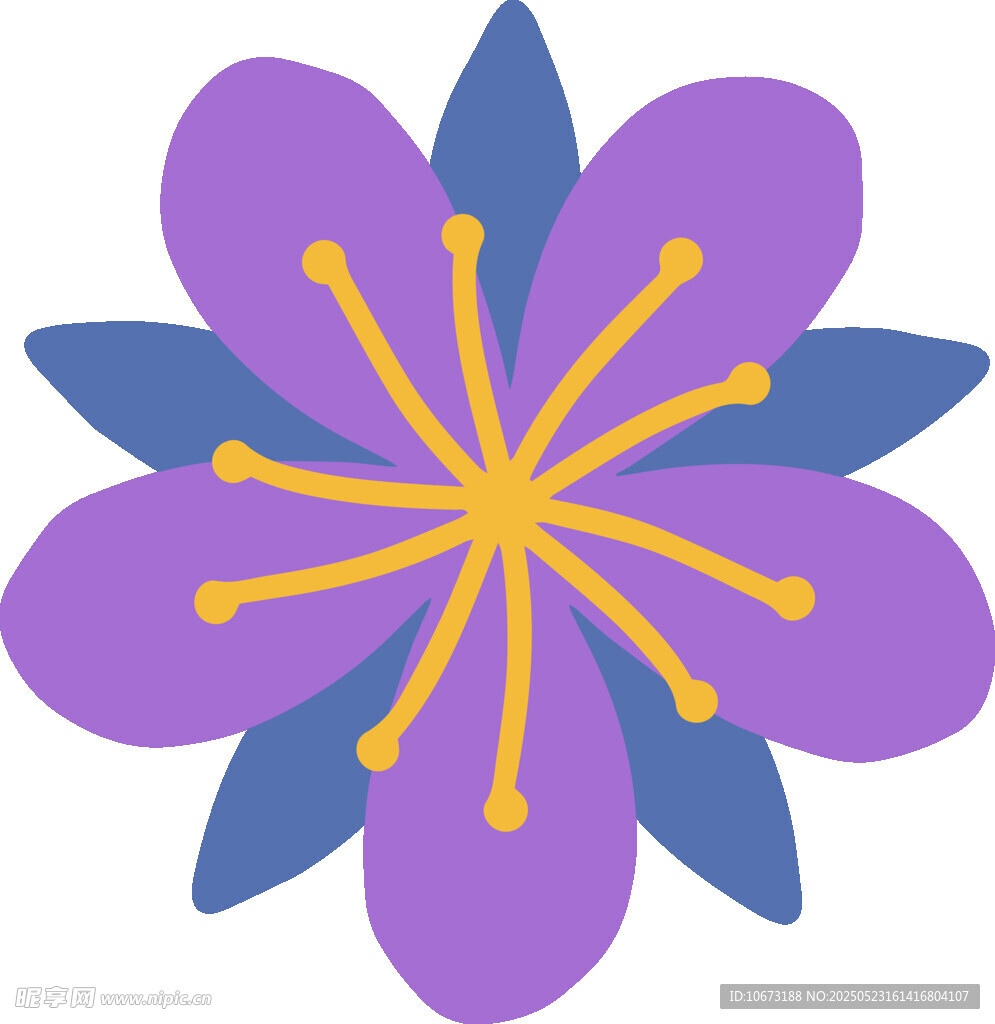 紫色花朵插画