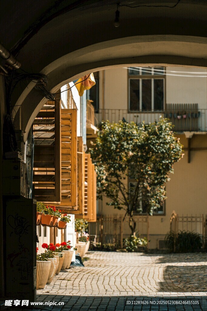 庭院拱门景致