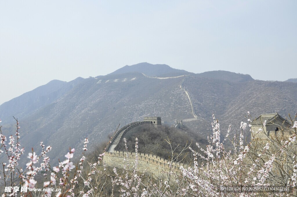山间美景现繁花点点