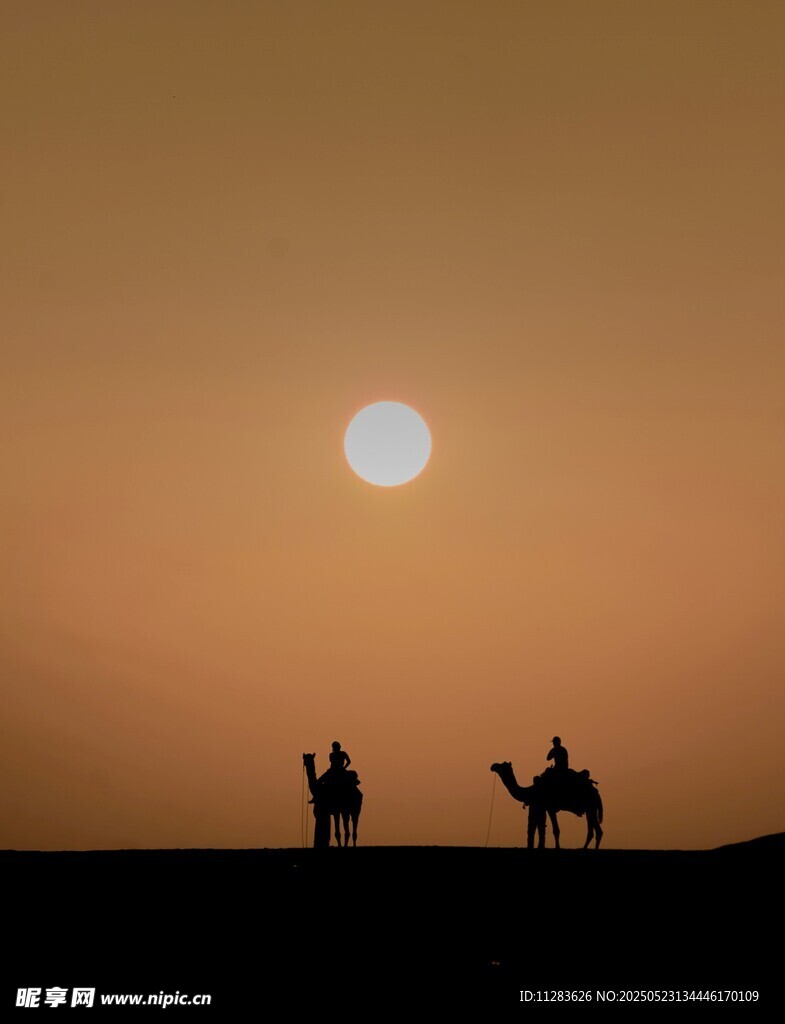 沙漠夕阳下的旅人驼影