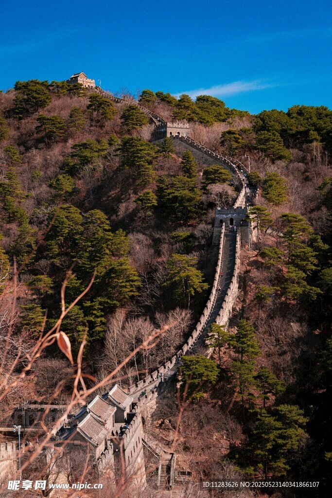 壮丽长城蜿蜒于山林之间
