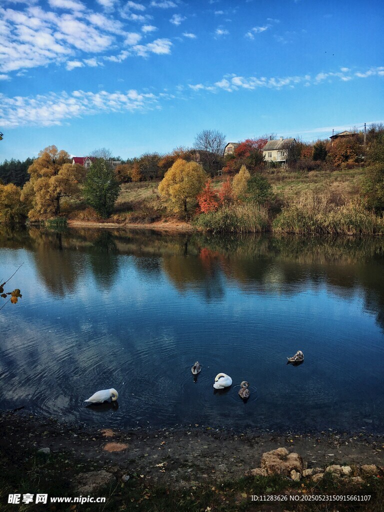 秋日湖畔美景