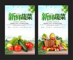 蔬菜海报