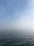 海面