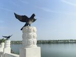湖畔石雕飞鸟景观