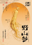 人参海报