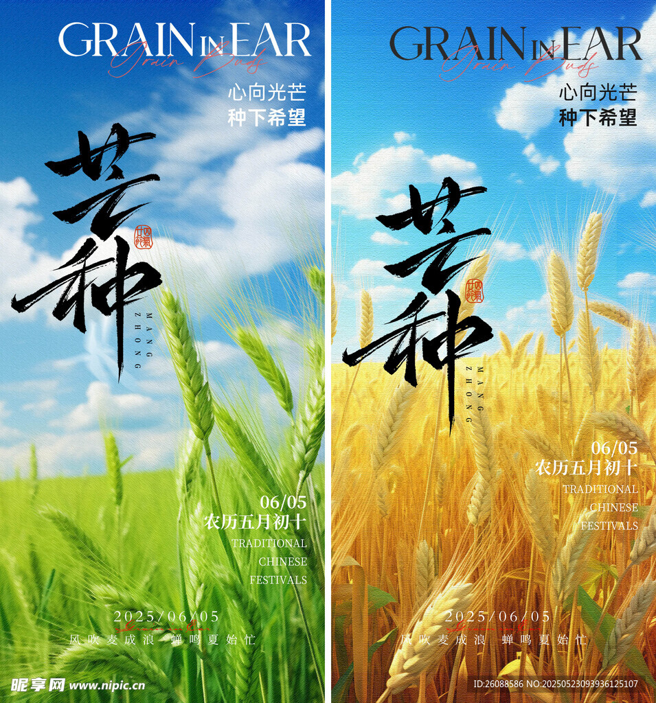 芒种二十四节气地产海报