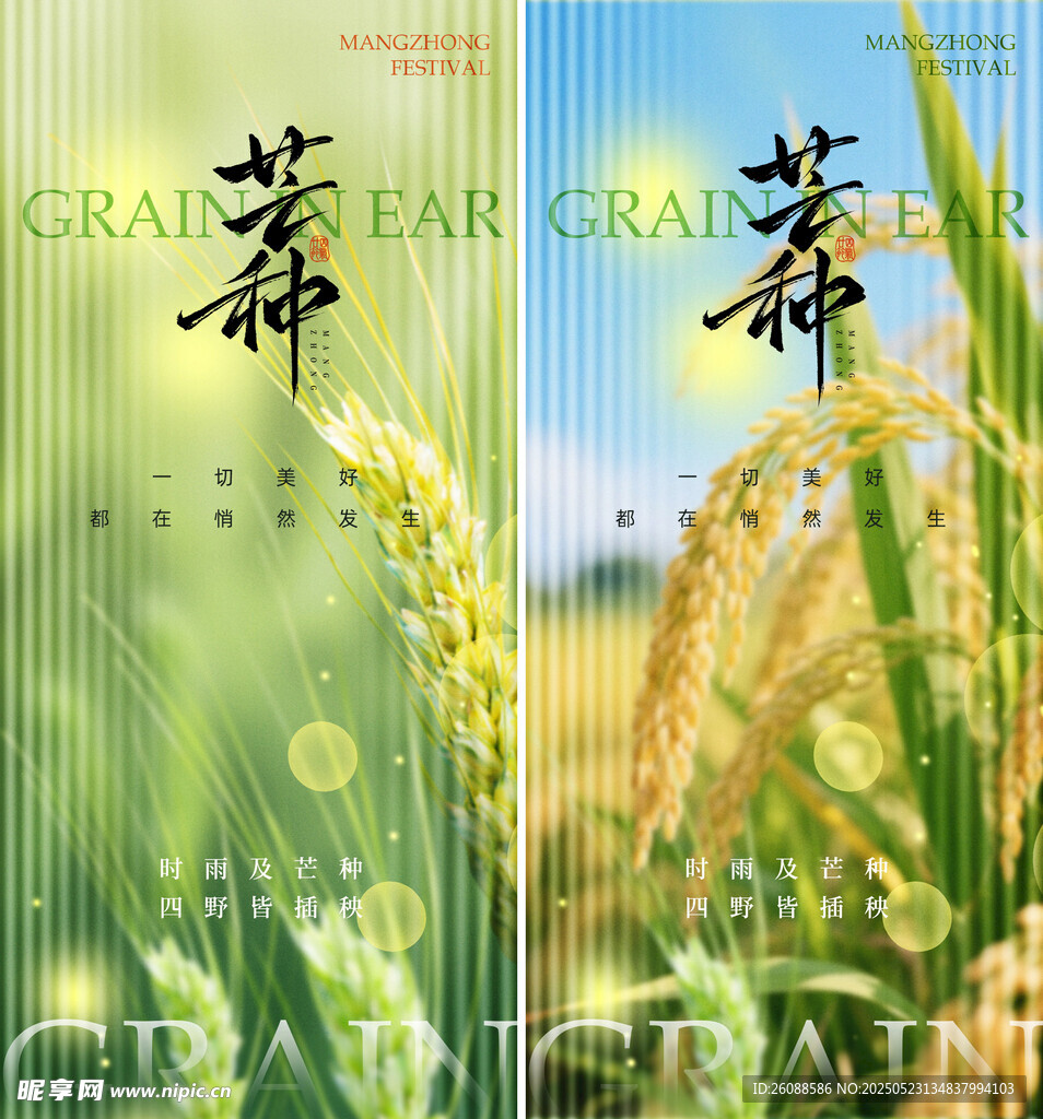 芒种二十四节气地产海报