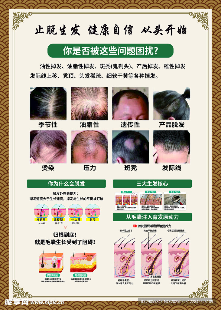 槙发