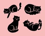 猫咪剪影