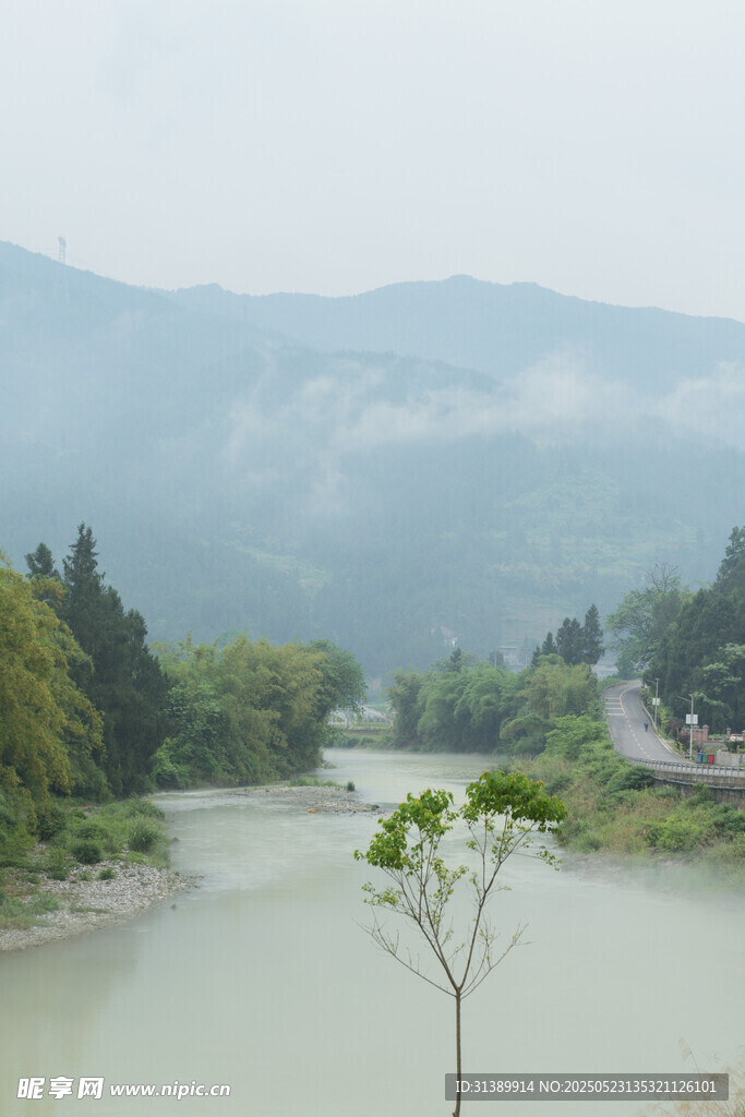 河畔孤树伴远山美景