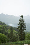 山林葱郁间的秀丽景致