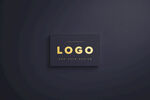 金色LOGO样机