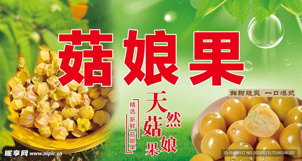 美味菇娘果 天然好滋味