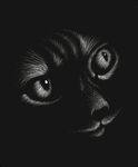 手绘线条猫